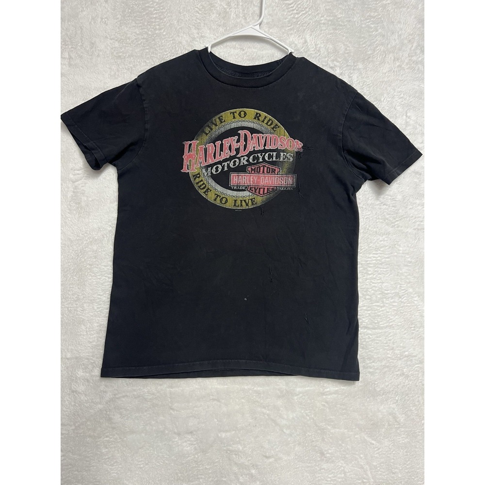 Harley Davidson Apache Junction AZ T‎ Shirt Large Distressed 2015 Black